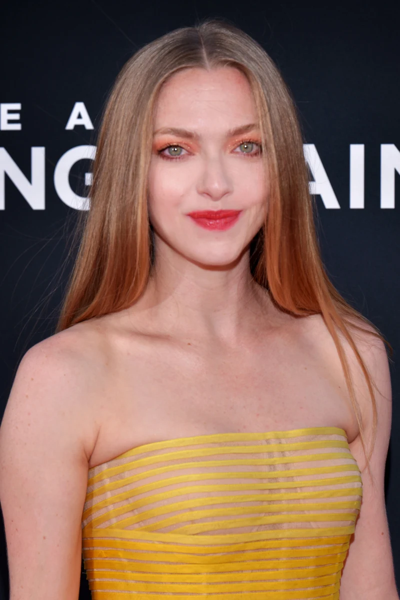 Amanda Seyfried, Darstellerin von Nina Winchester in Die Housemaid