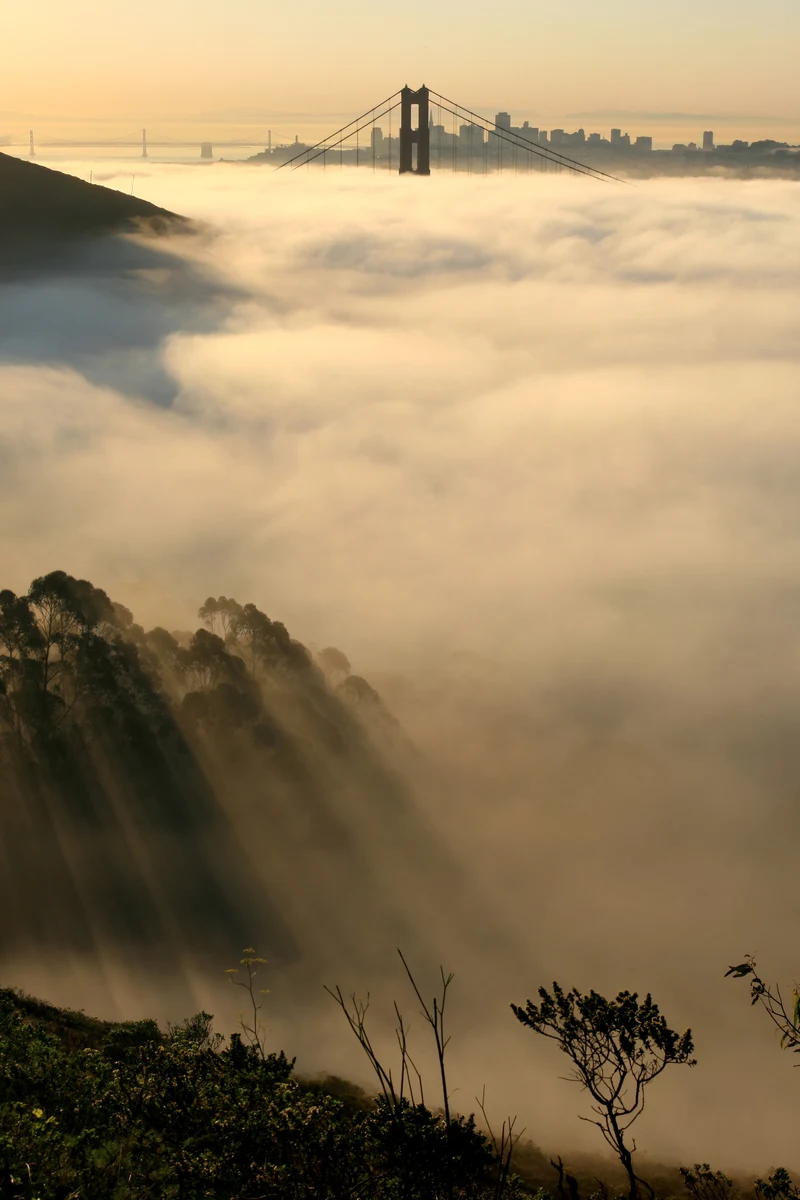 Golden Gate Bridge und San Francisco im Nebel