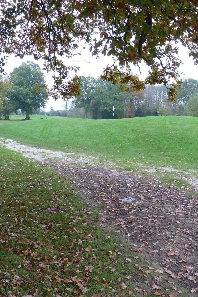 Golfplatz mit Fahne auf dem Grün