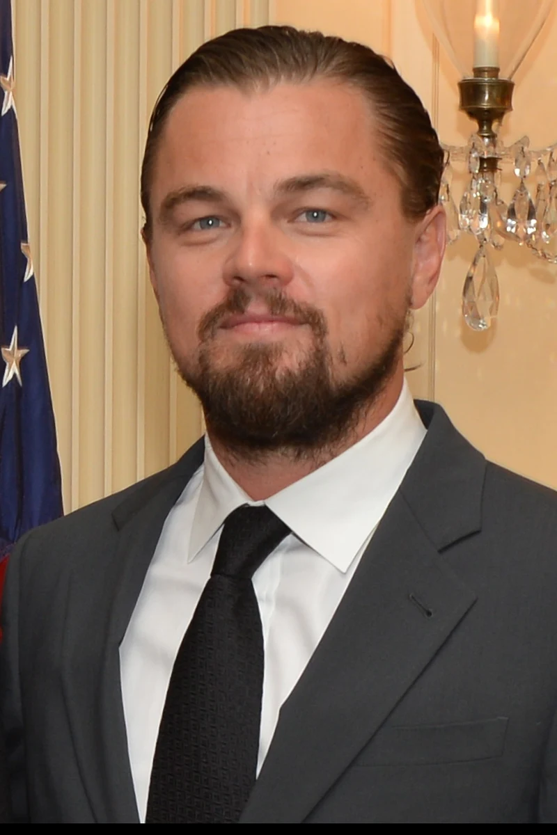 Leonardo DiCaprio im Juni 2014