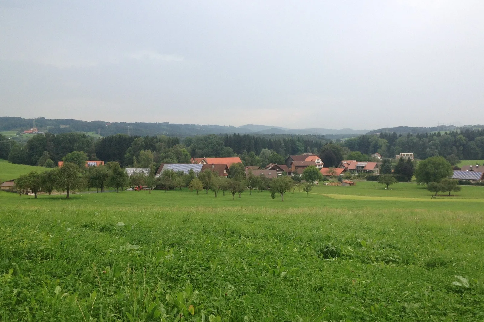 Bauernhof mit Wiesen und Hügeln bei Wangen im Allgäu