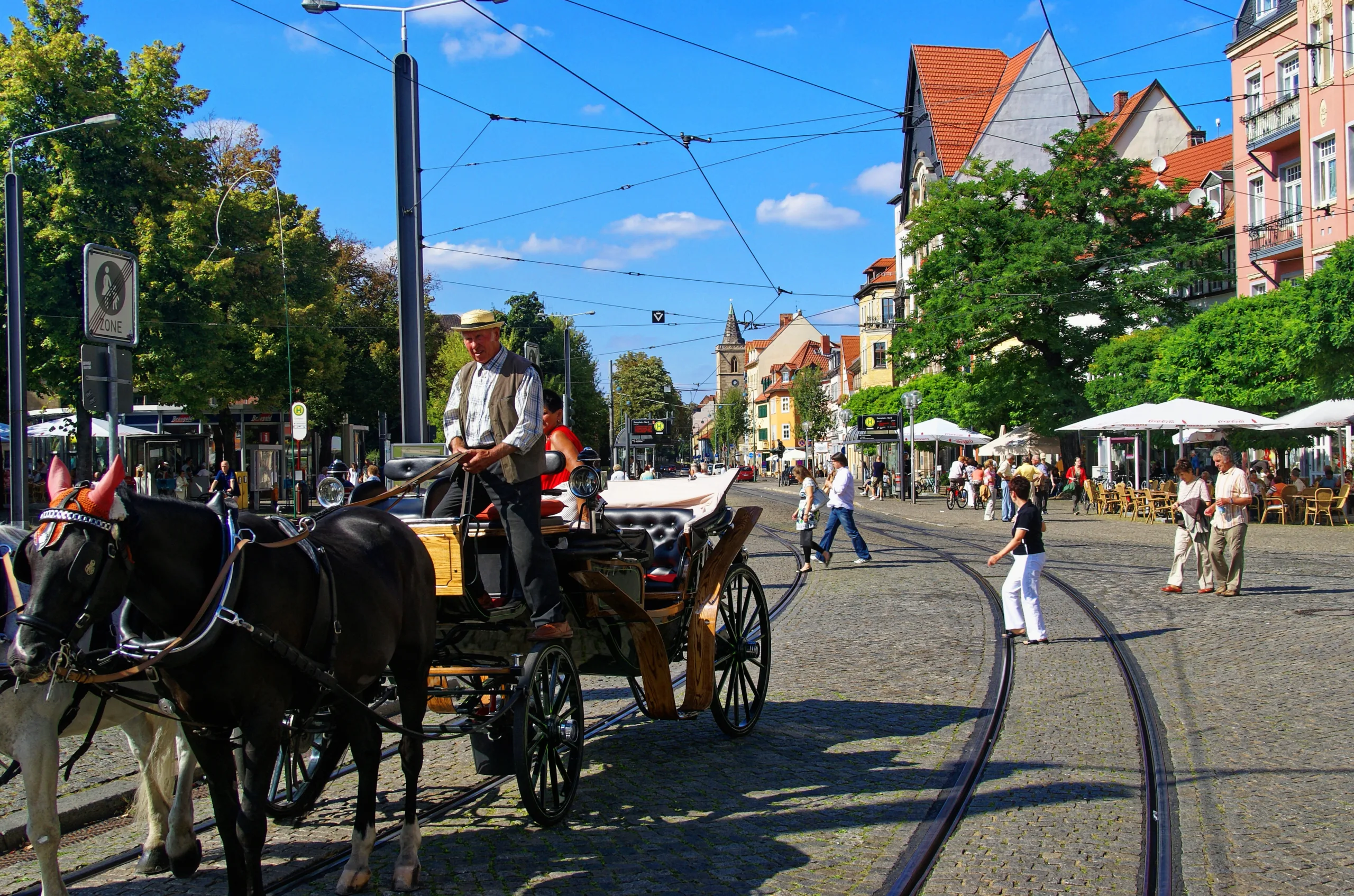 Erfurter Dom und Severikirche über dem Domplatz