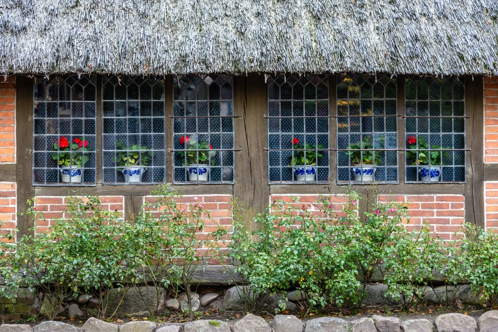 Ammerländer Bauernhaus mit Reetdach und Sprossenfenstern in Bad Zwischenahn