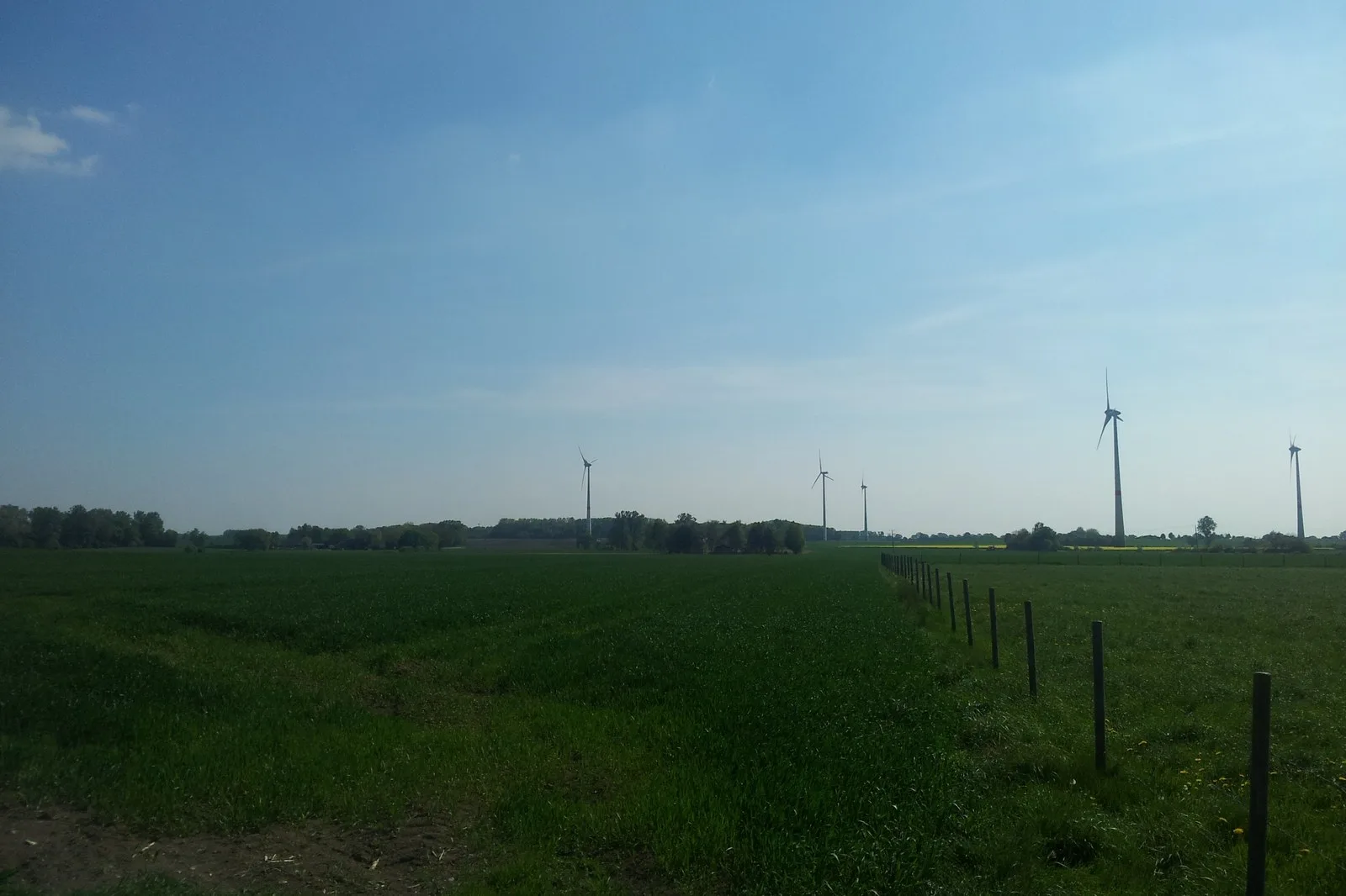 Weite Felder und Wiesen im Münsterland