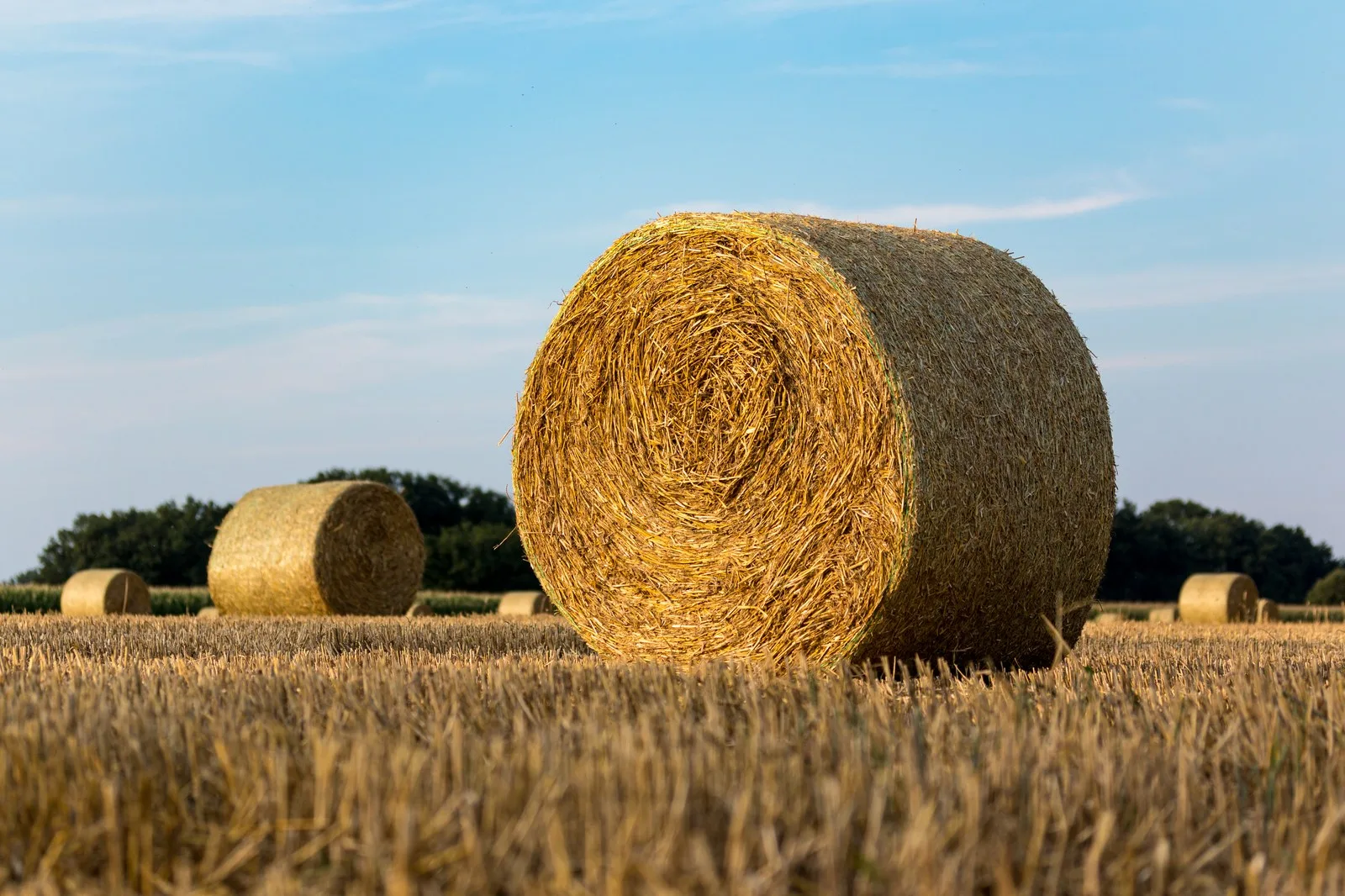 Strohballen auf einem abgeernteten Feld bei Dülmen