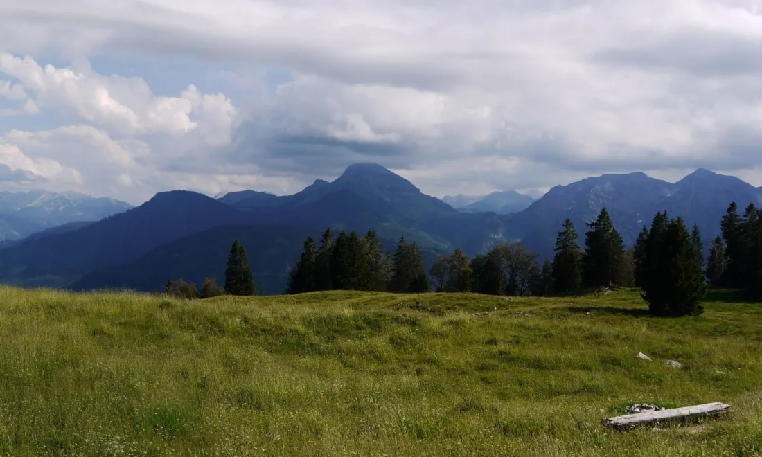 Bayerische Alpen mit Wiese und Tannen im Vordergrund