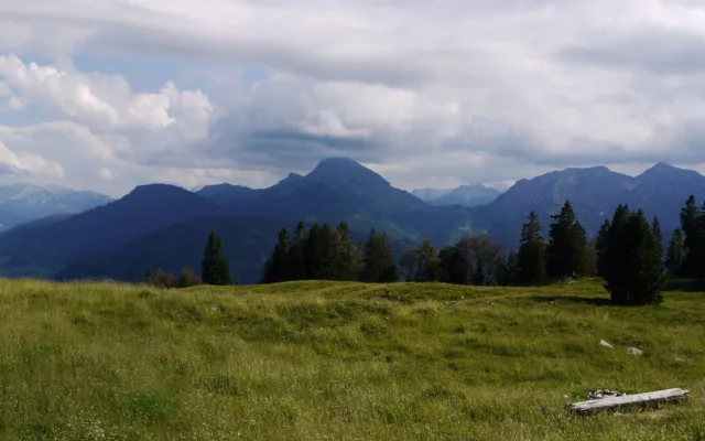 Bayerische Alpen mit Wiese und Tannen im Vordergrund