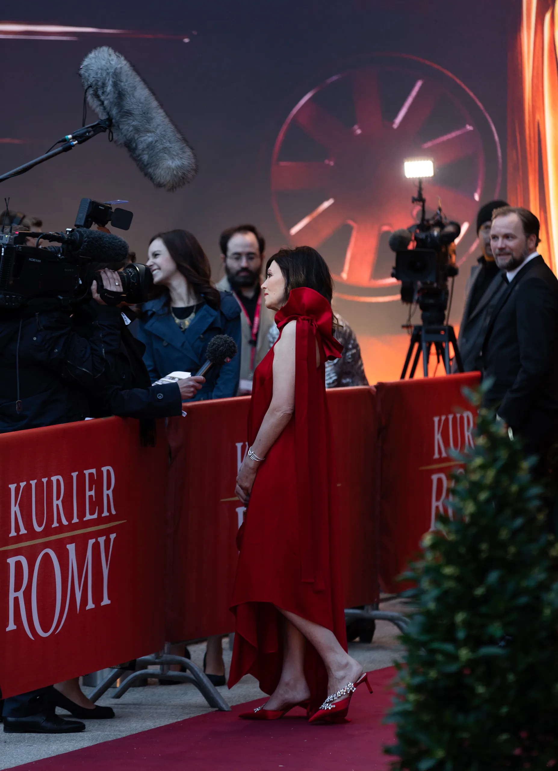 Iris Berben bei der Romy-Verleihung 2018