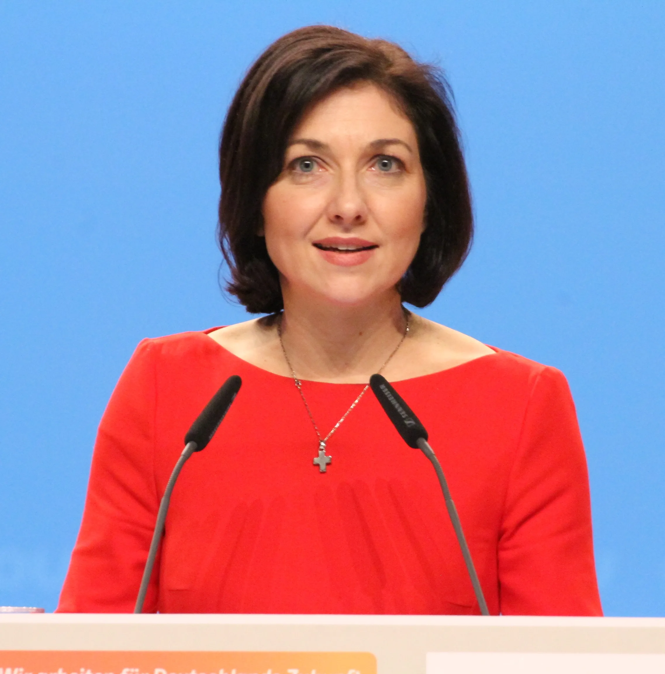 Reiche auf dem CDU-Bundesparteitag 2014 in Köln
